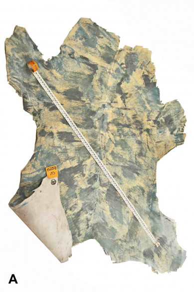 TIE DYE printed hair on hide leather,abstract textured hair on cow- splashed hair on cow, italian leather