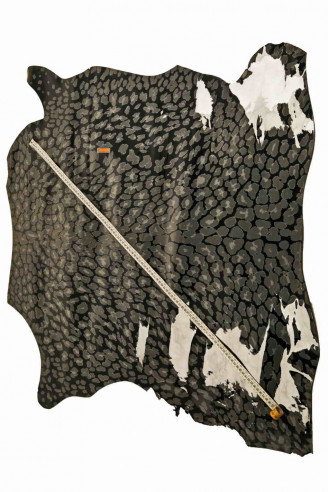 PELLE verniciata colore nero stampata...