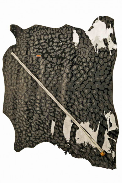 BIG leopard print patent Italian leathe-goatskin black base textured cheetah gray shiny hide, stiff, classic goat