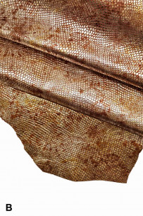 FLORAL PRINTED goat...