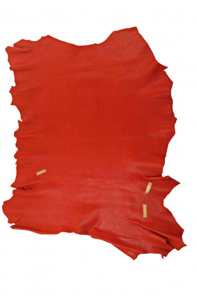 Pellame italiano, capra con stampa grana dollaro color rosso, abbastanza lucida, morbida, look sportivo