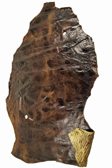 Genuine leather hide GOATSKIN brown super GLOSSY wrinkled vintage stiff goat distressed italian skin for crafting