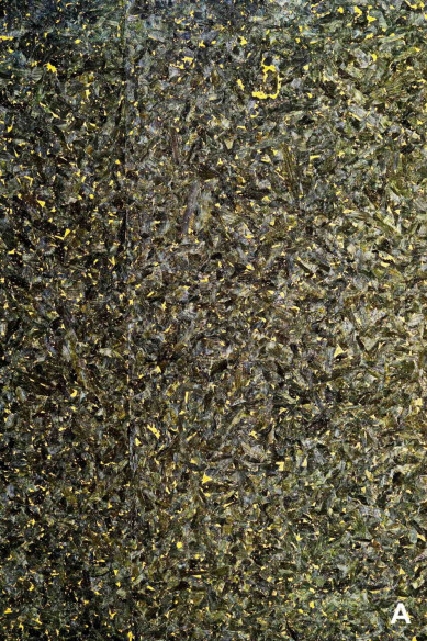 Fogli di SUGHERO naturale, made in Italy, noto come pelle vegana, disponibile in 4 colori