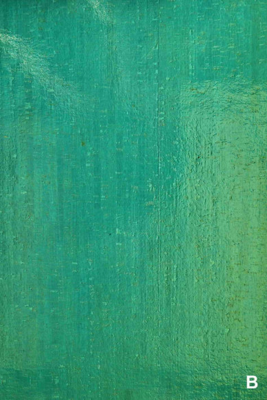 Fogli di SUGHERO naturale, made in Italy, noto come pelle vegana, disponibile in 2 colori