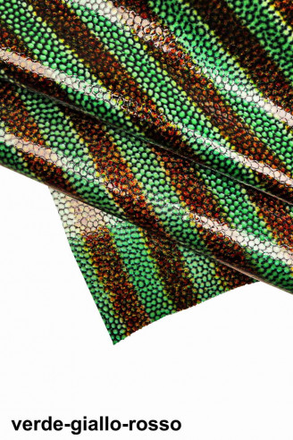 Violet/blue/green/yellow/red PATENT...