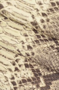 PELLAME PITONATO morbido e... 2