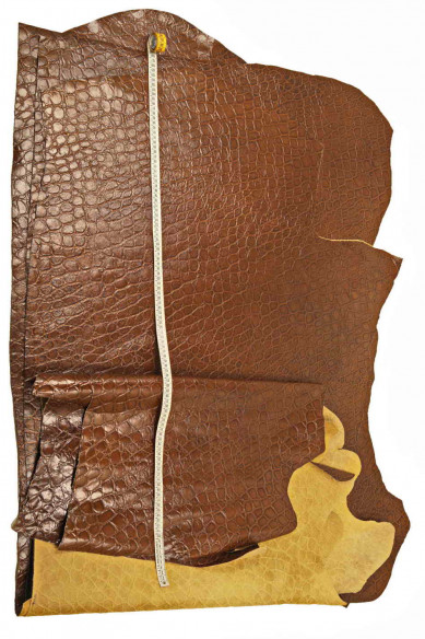 Crocodile embossed leather hide, brown crock printed calfskin, slightly wrinkled, glossy, soft skin