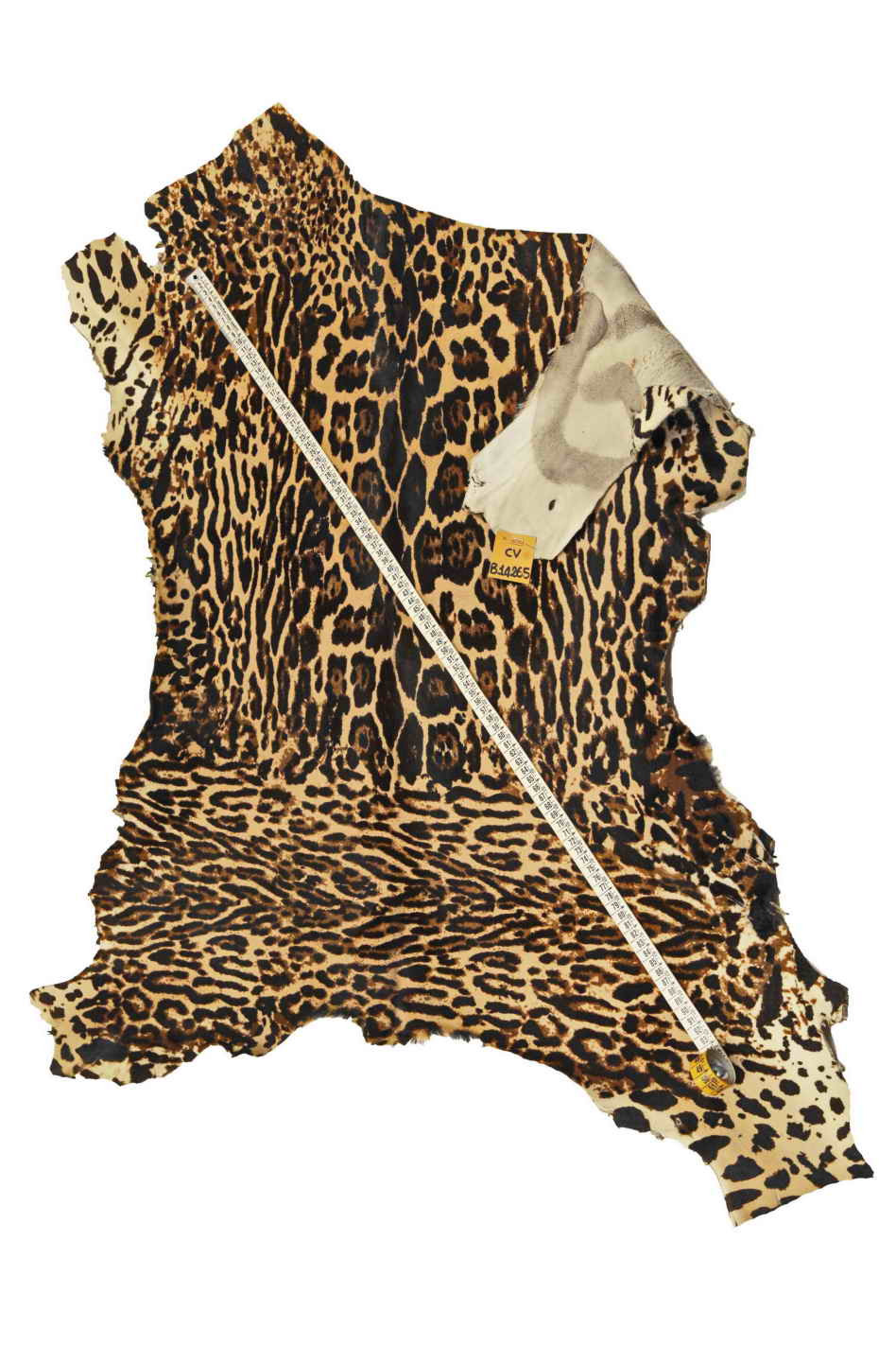 LEOPARD HAIR on leather hide, beige brown black pony calfskin, cheetah
