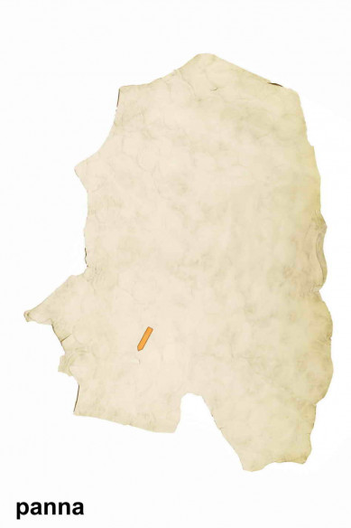 Pelle STAMPA FLOREALE, pellame stampato vintage, montone vegetale lavato