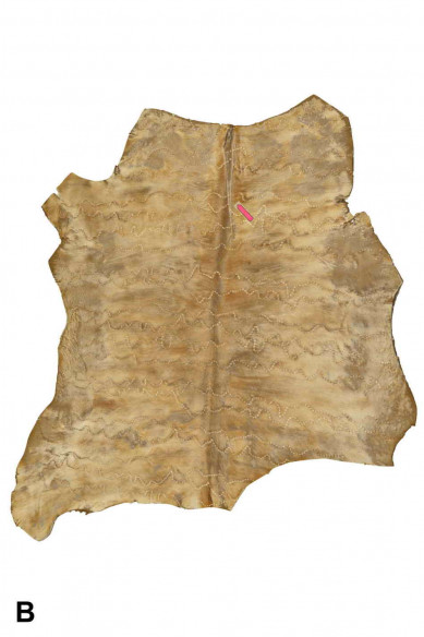 Pelle di CAVALLINO BEIGE, pellame ricamato con pelo, vitello effetto pony super morbido e vintage