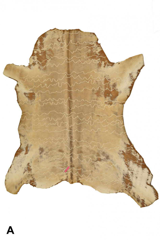 BEIGE HAIR on leather hide,...