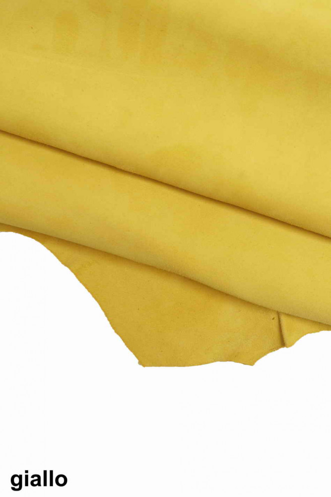 Pelle di CAMOSCIO su CAPRA giallo,...