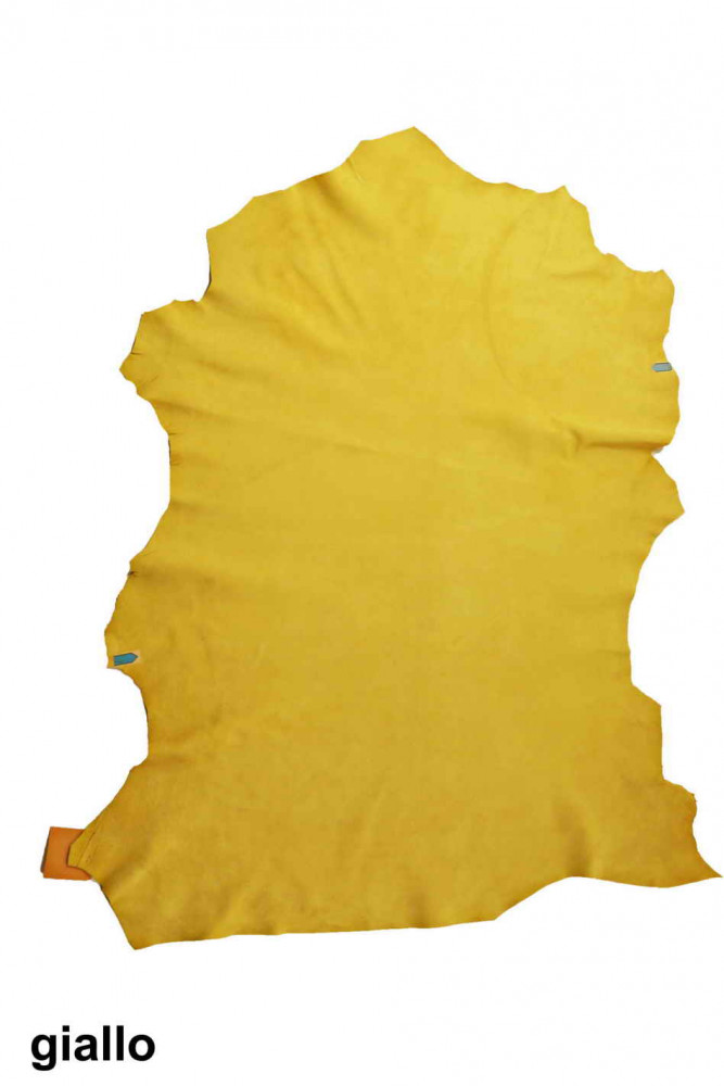 Pelle di CAMOSCIO su CAPRA giallo,...