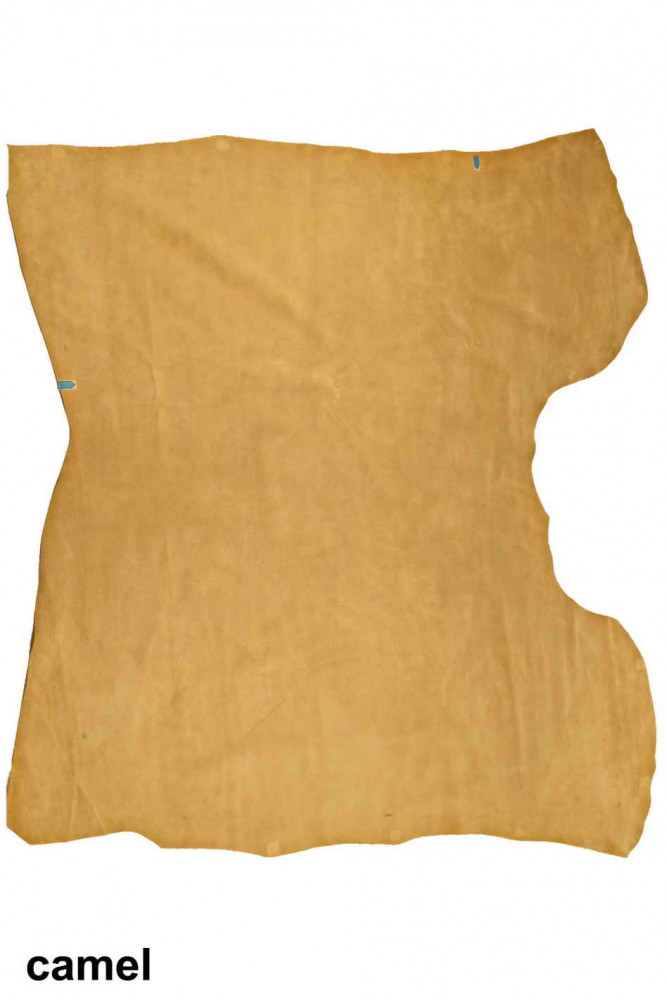 PELLE di CAMOSCIO tinta unita, crosta...