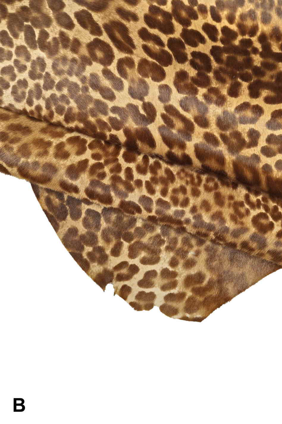 LEOPARD PRINTED hair on leather hide, spotted pony calfskin, animal ...