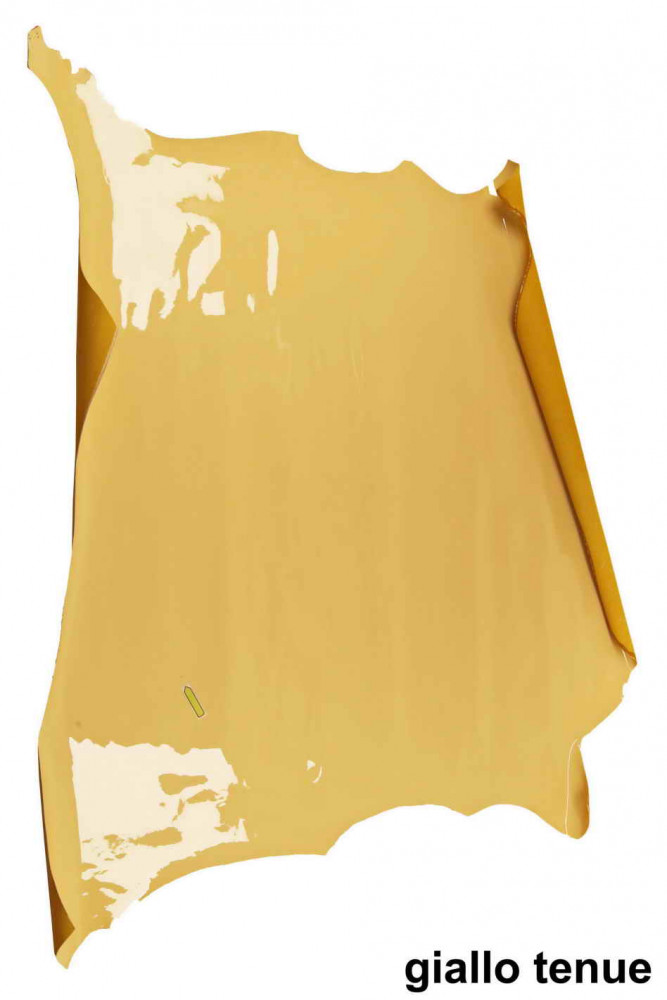 PELLAME VERNICIATO grigio, giallo...