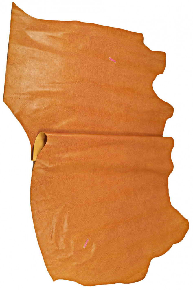 TAN LIZARD printed leather hide,...