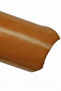 PELLE LISCIA lucida... 2