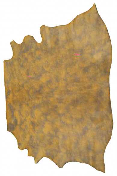 Beige grey VEGETABLE TANNED leather hide, vintage smooth baby calf, semi glossy stiff cowhide