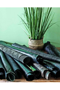 2 Pelli intere casuali...