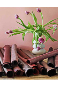 2 Pelli intere casuali...