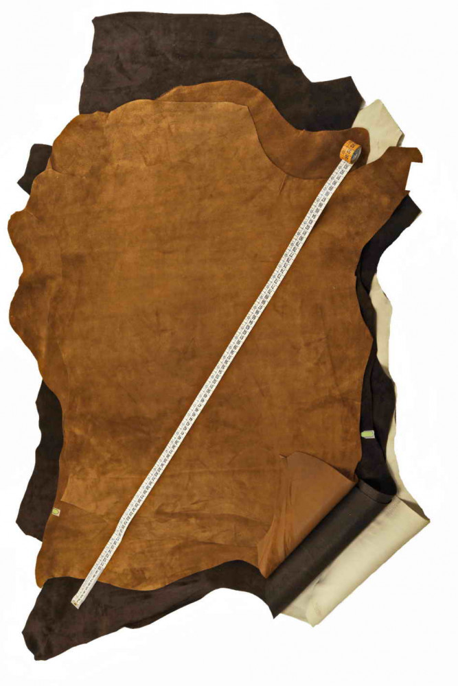 PELLE di CAMOSCIO, vitellino...