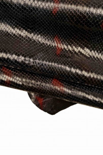 Blue red PYTHON printed...