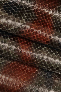 Green red blue SNAKE... 2