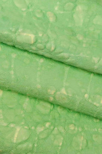 Light green CROCODILE... 2