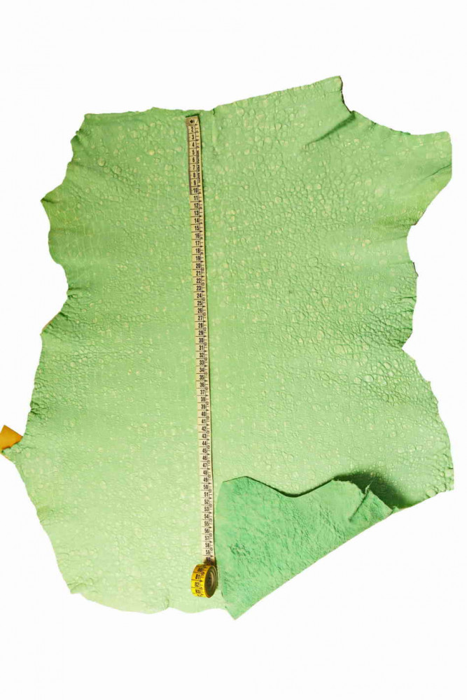 Light green CROCODILE printed leather...