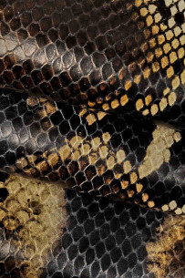 Blue brown beige PYTHON... 2