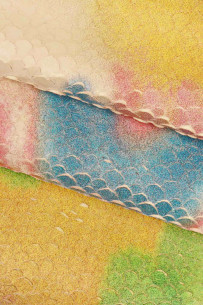 Capra stampata MULTICOLOR,... 2