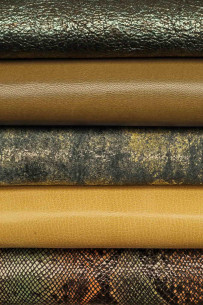 Pack di 5 pelli VERDI,... 2