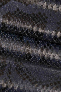 Blue black reptile PYTHON... 2