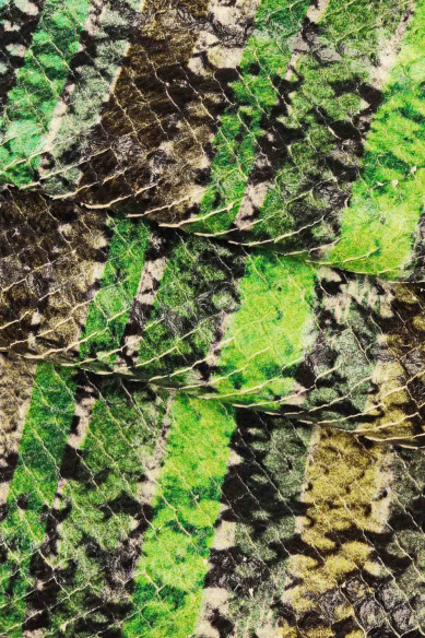 PYTHON printed leather skin, green multicolor snake pattern on carved goatskin, reptile print on soft hide