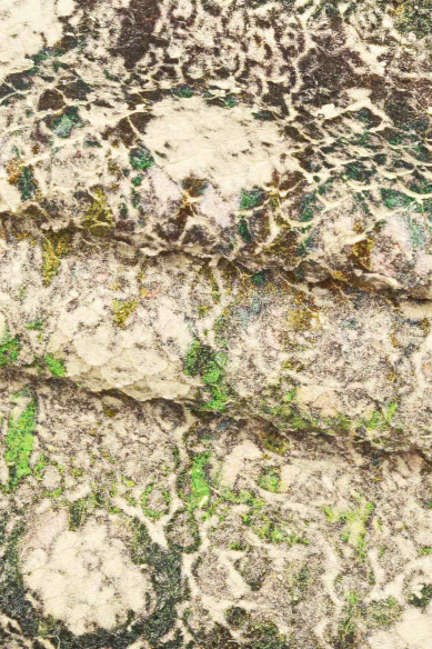 Pelle stampata PITONE rosa, blu, verde, capra intagliata con disegno rettile, pellame motivo serpente super morbido