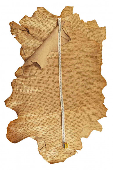 Pelle stampa COCCODRILLO beige perlato, pellame morbido sportivo, capra stampa cocco con perla oro