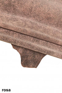 Light blue, pink, powder... 2