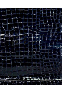 Night blue CROCODILE... 2