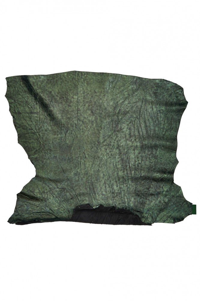 GREEN wrinkled leather skin, glossy...