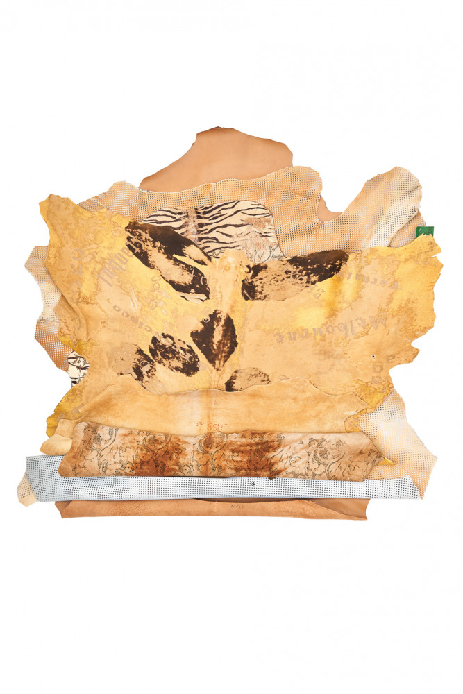 Lotto di 4 pellami beige MARRONE, 3...