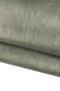 Pelle grigia lucida, capra...