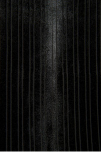 Black STRIPED hair on... 2