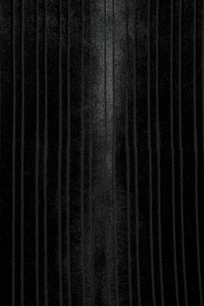 Black STRIPED hair on leather hide,...