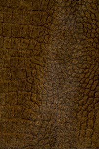 Brown CROCODILE textured... 2