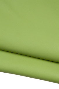 Set di 2 pelli VERDI... 2