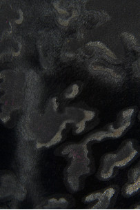 Pelle di cavallino nero e... 2