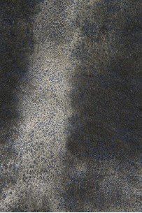 METALLIC hair on leather... 2