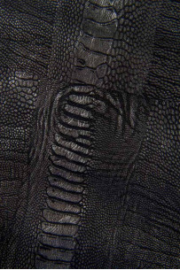 Black silver OSTRICH leg... 2