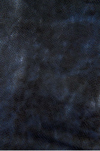 Blue black SNAKE printed... 2